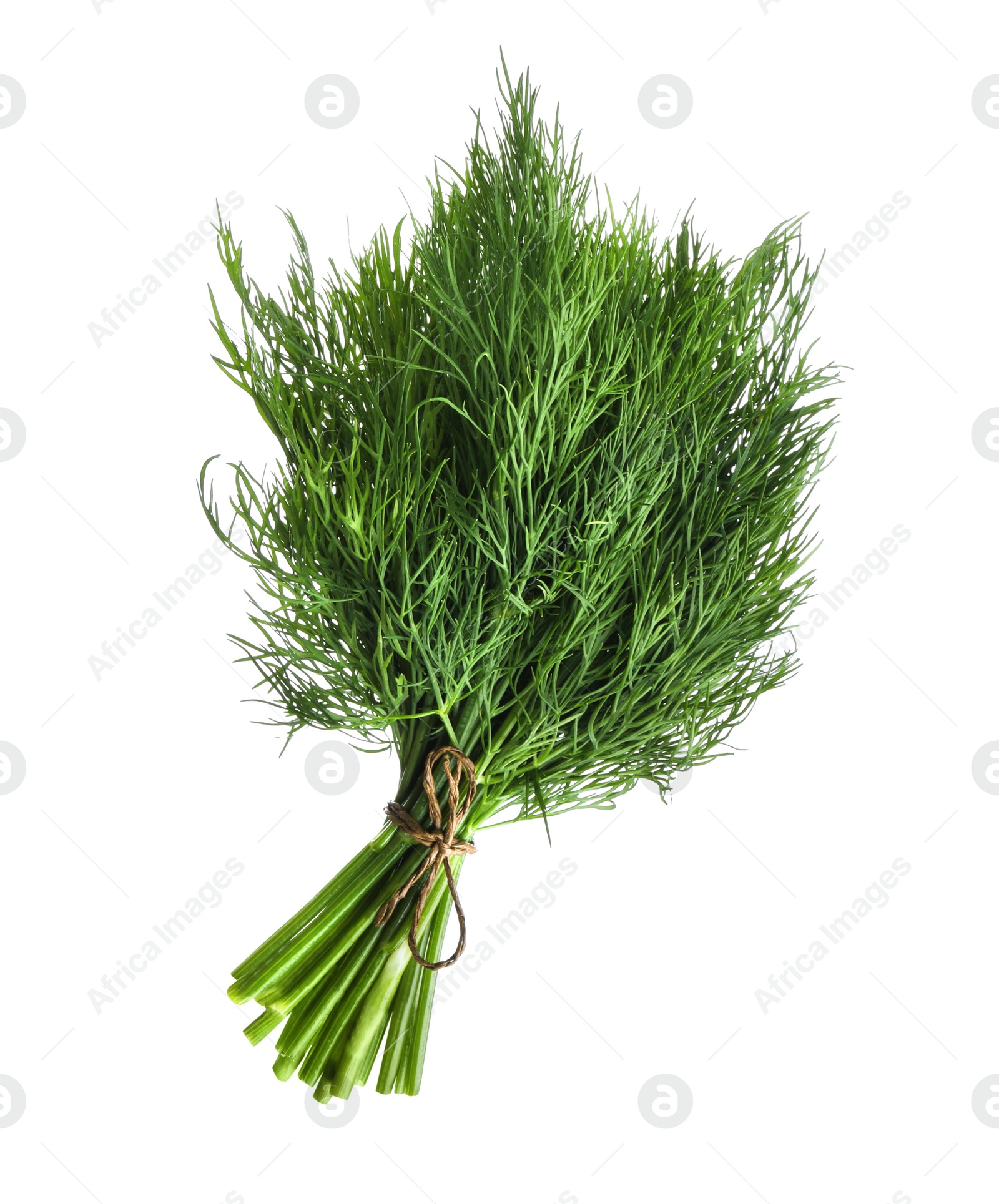 Photo of Bunch of fresh dill isolated on white