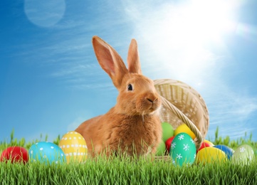 Image of Cute bunny and colorful Easter eggs on green grass outdoors