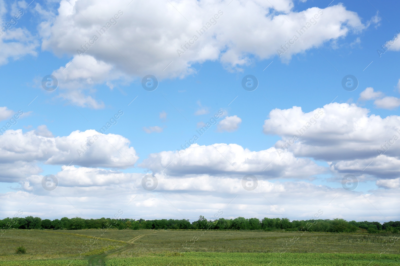 Photo of Picturesque view of beautiful fluffy clouds in light blue sky above field