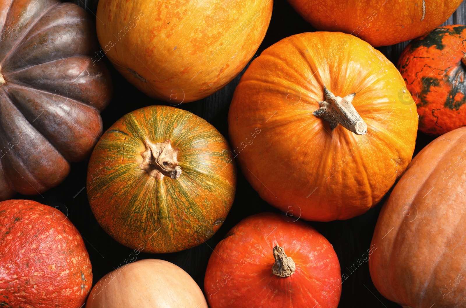 Photo of Many different pumpkins as background, closeup. Autumn holidays