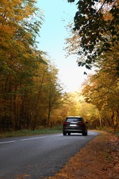 Modern car on asphalt road near autumn forest