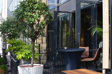 Entrance of cafe with potted trees, chairs and tables outdoors