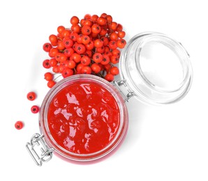 Photo of Delicious rowan jam in glass jar and berries on white background, top view