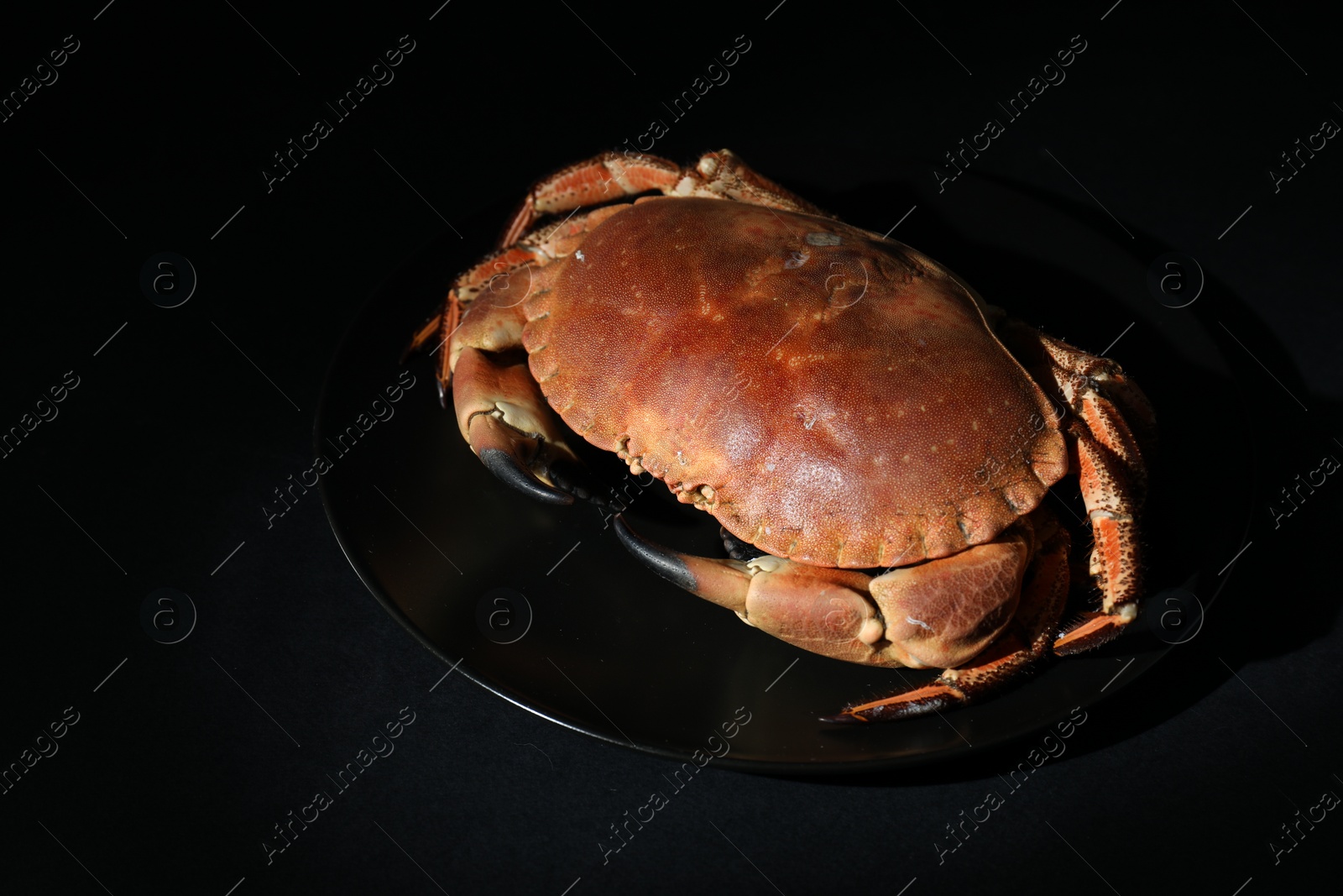 Photo of Delicious boiled crab on black table, space for text