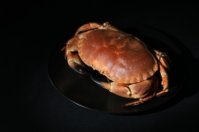 Photo of Delicious boiled crab on black table, space for text