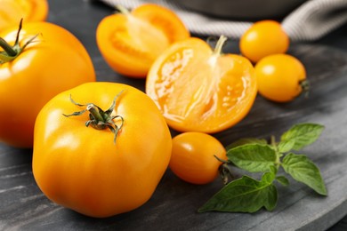 Photo of Fresh ripe yellow tomatoes on black board, closeup. Space for text