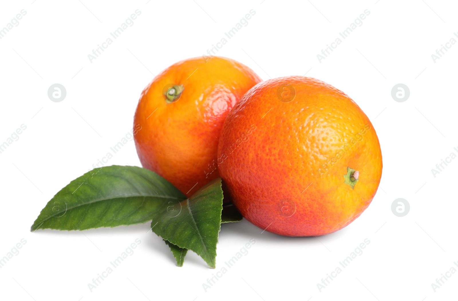 Photo of Whole ripe red oranges with green leaves on white background