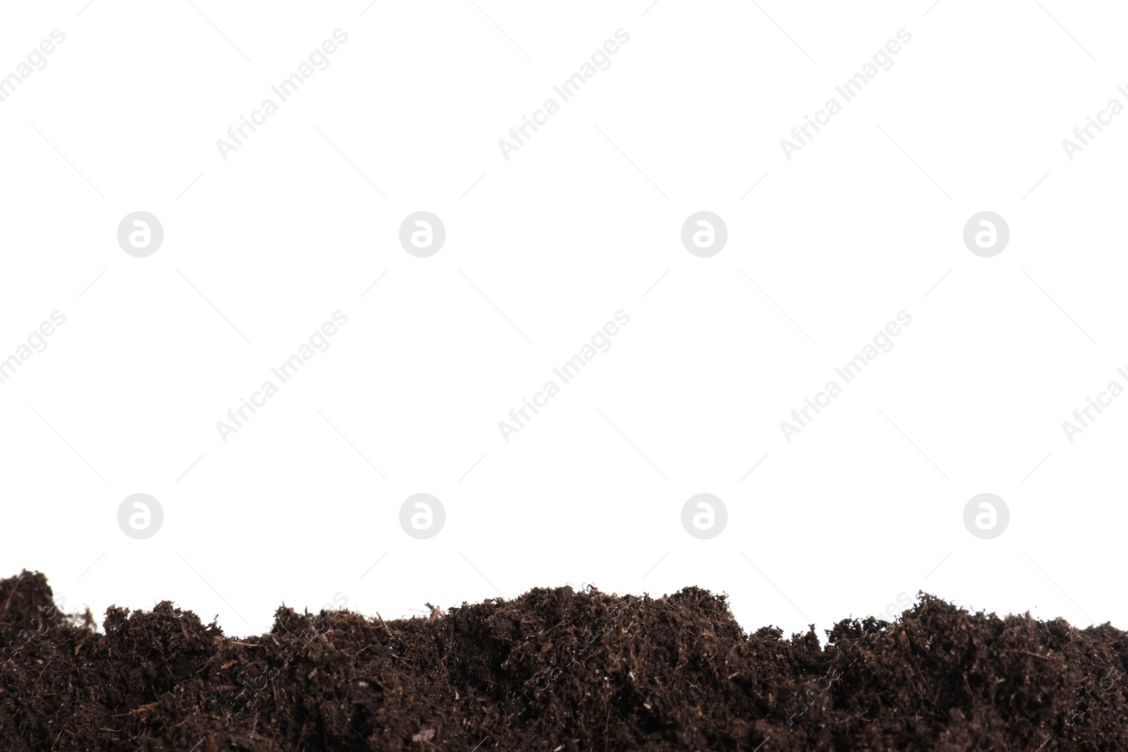 Photo of Layer of fresh soil isolated on white. Gardening time