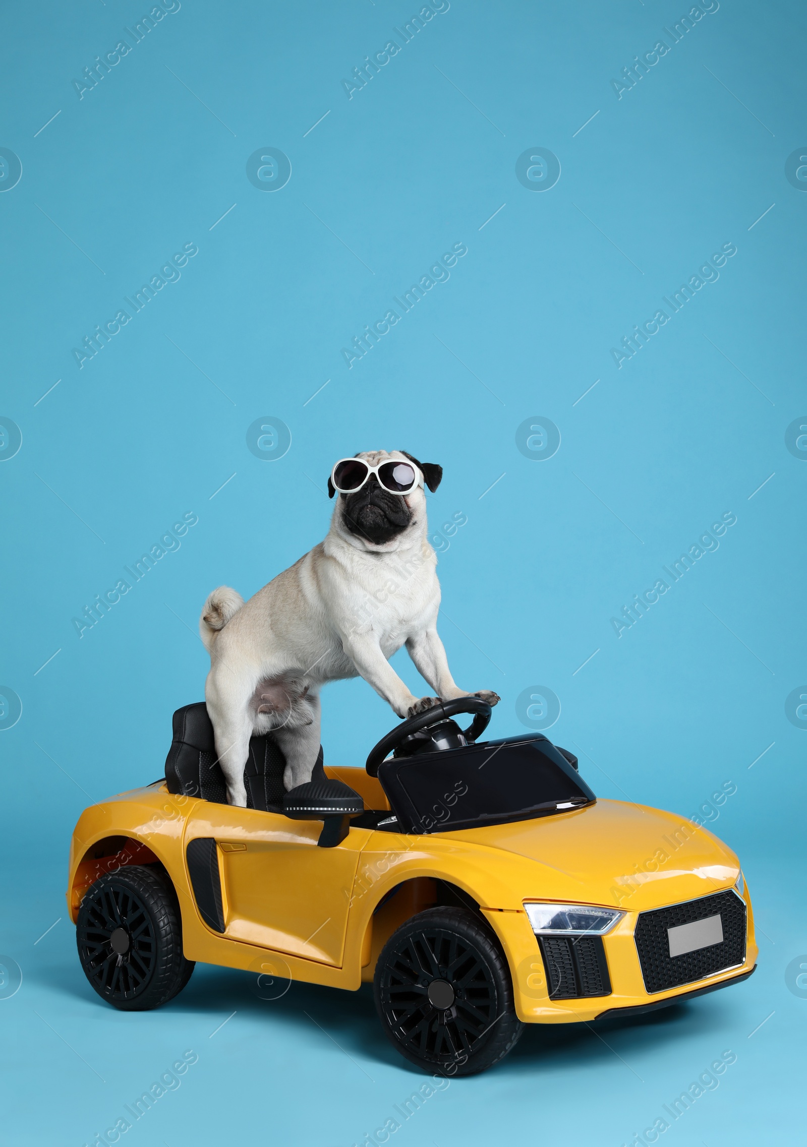 Photo of Funny pug dog with sunglasses in toy car on light blue background