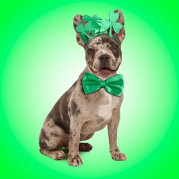 St. Patrick's day celebration. Cute French Bulldog wearing headband with clover leaves and bow tie on green background