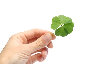 Woman holding beautiful green four leaf clover on white background, closeup