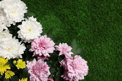 Photo of Beautiful chrysanthemum flowers on green grass, flat lay. Space for text
