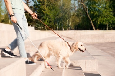 Guide dog helping blind person with long cane going down stairs outdoors