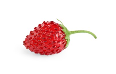 One ripe wild strawberry isolated on white