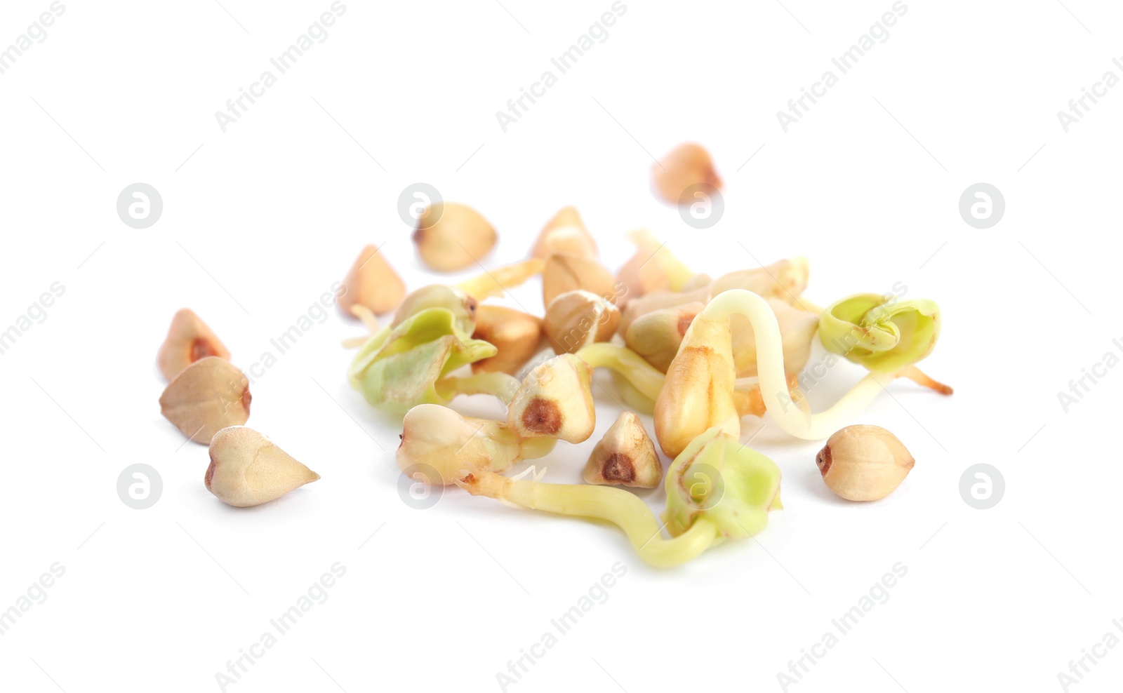 Photo of Sprouted green buckwheat grains isolated on white