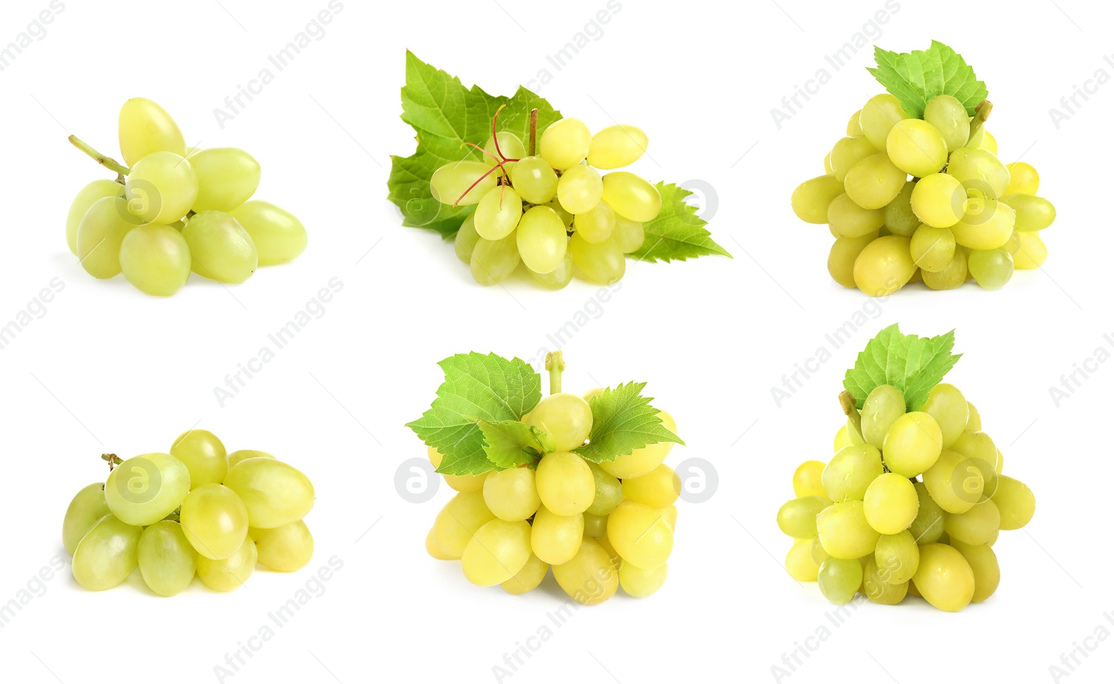 Image of Set with fresh ripe grapes on white background