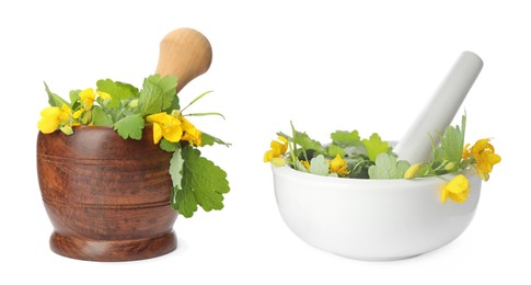 Image of Celandine and pestles in mortars on white background, collage