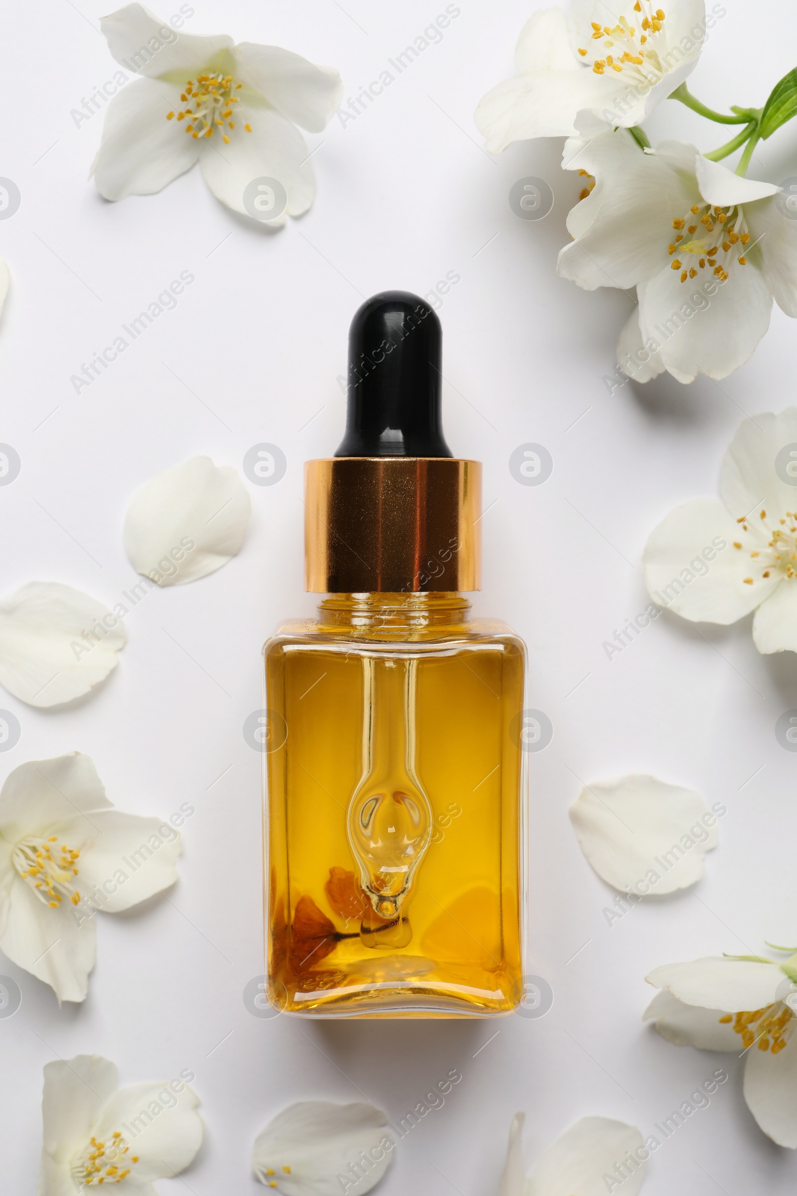 Photo of Jasmine essential and fresh flowers on white background, top view