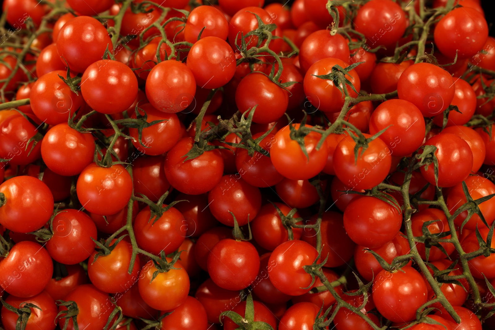 Photo of Many fresh ripe tomatoes as background, top view