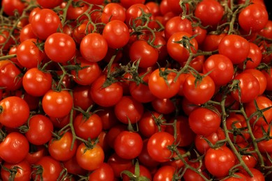 Photo of Many fresh ripe tomatoes as background, top view