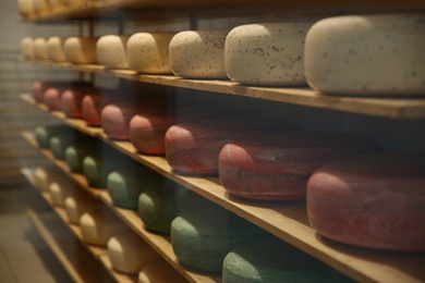 Photo of Fresh cheese heads on rack in factory warehouse