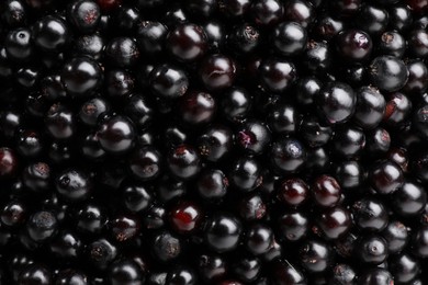 Black elderberries (Sambucus) as background, top view