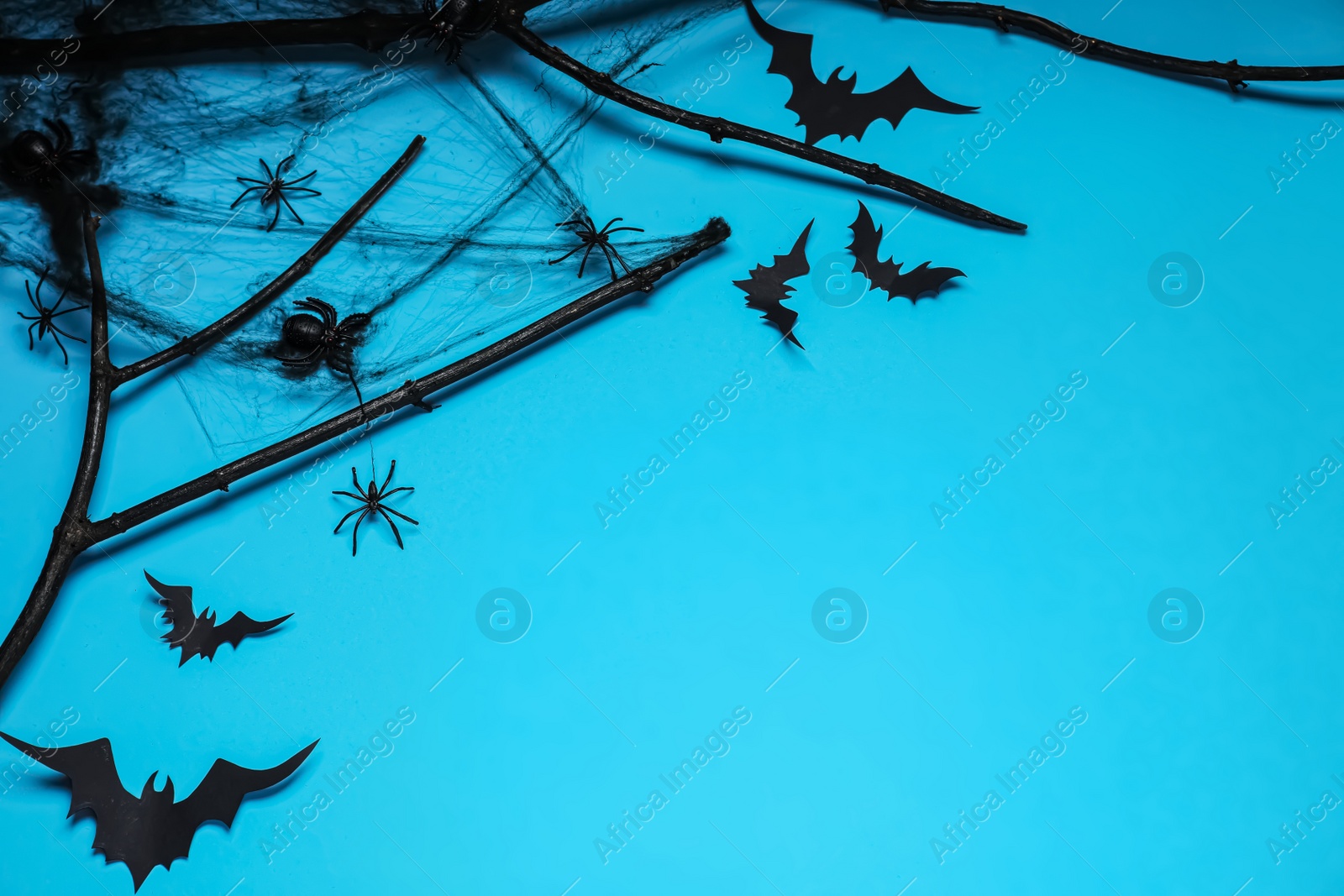 Photo of Black branches, paper bats and spiders on light blue background, space for text. Halloween celebration