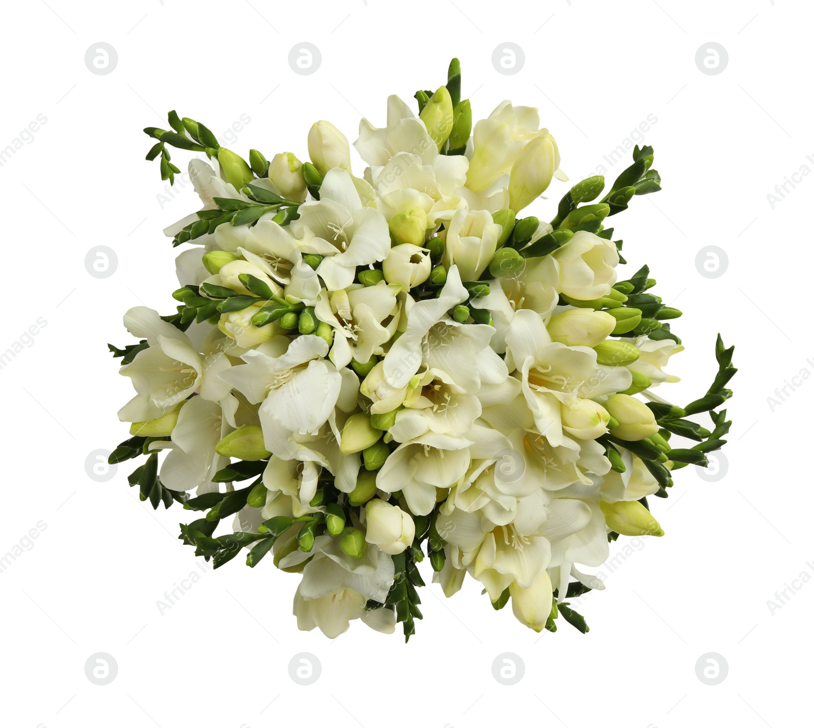 Photo of Beautiful freesia bouquet isolated on white, top view