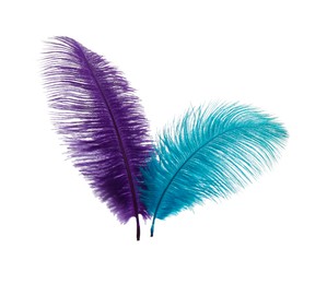 Photo of Beautiful violet and light blue feathers on white background