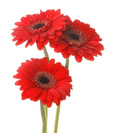 Photo of Bouquet of beautiful red gerbera flowers on white background