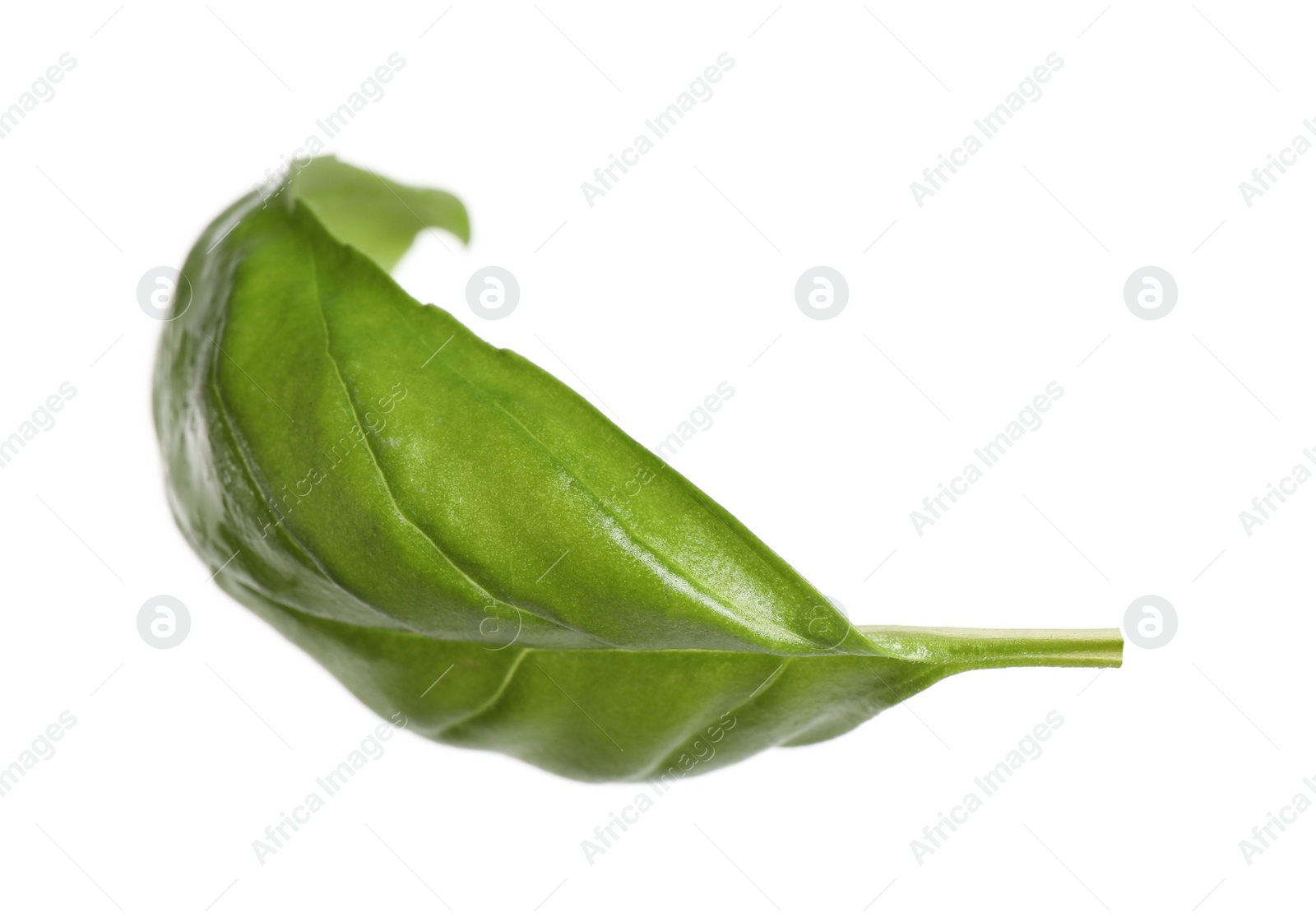 Photo of Fresh green basil leaf isolated on white