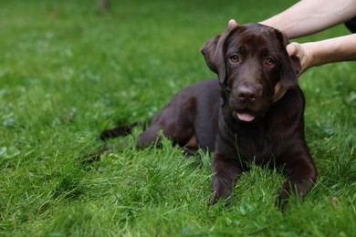 Man with adorable Labrador Retriever dog on green grass in park, closeup. Space for text