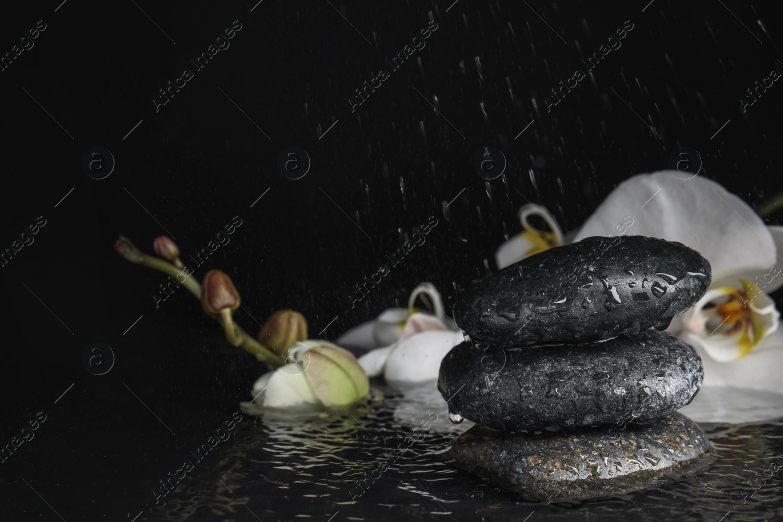 Photo of Stones and orchid flowers in water on black background. Zen lifestyle