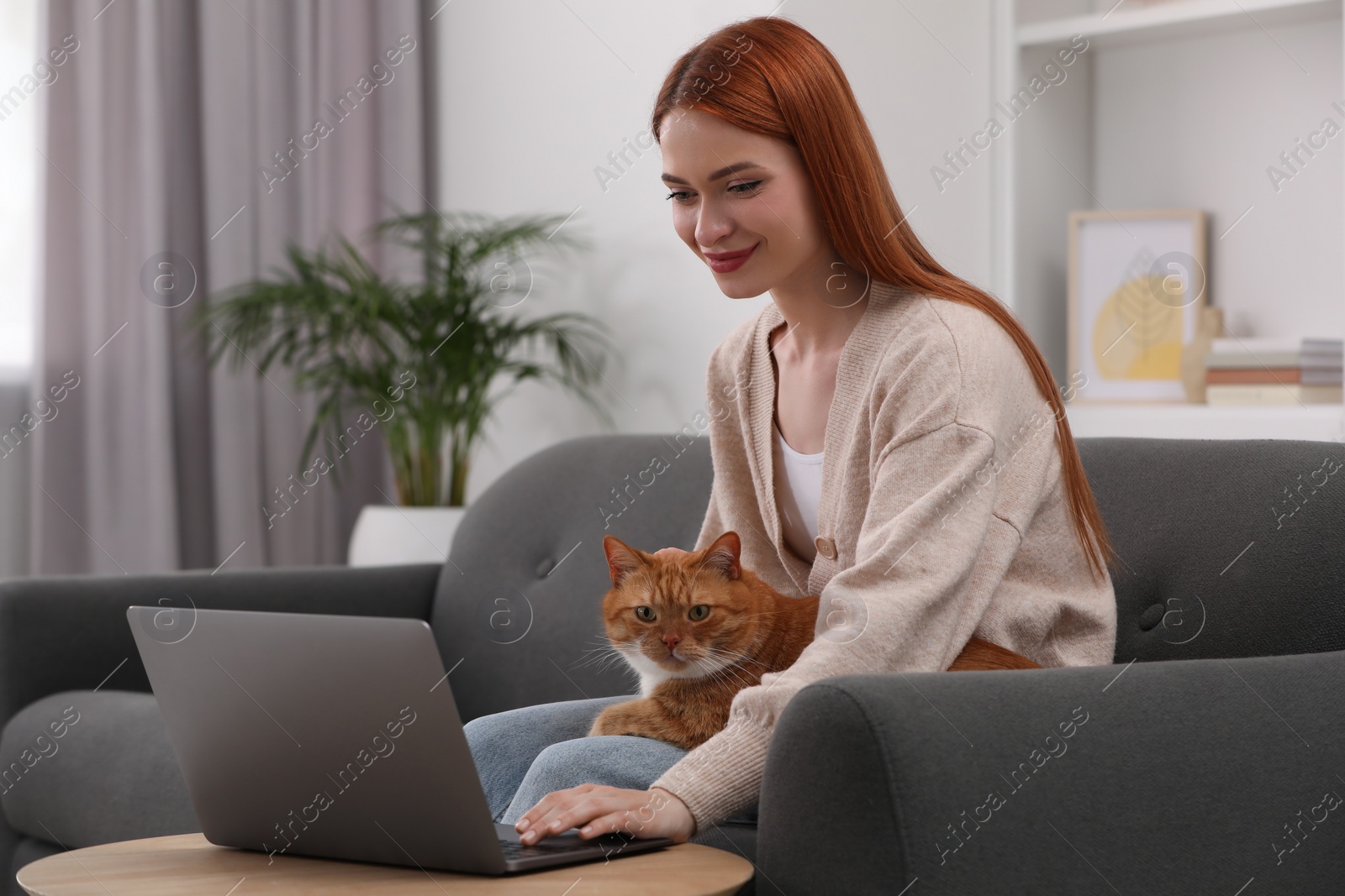 Photo of Woman with cat working on sofa at home