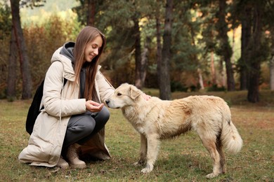 Photo of Happy woman stroking cute dog in beautiful mountain forest
