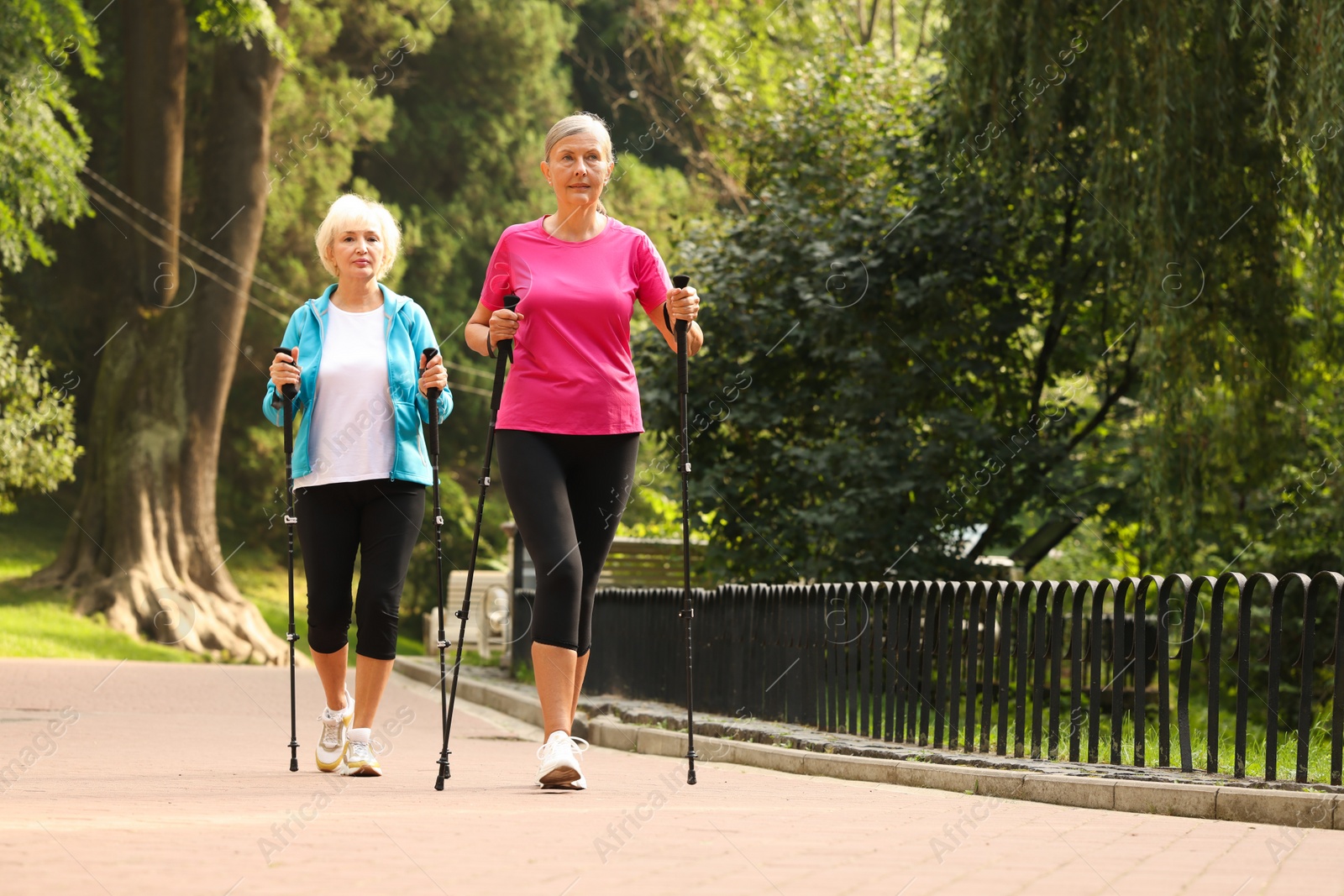 Photo of Two senior friends performing Nordic walking outdoors, space for text. Low angle view