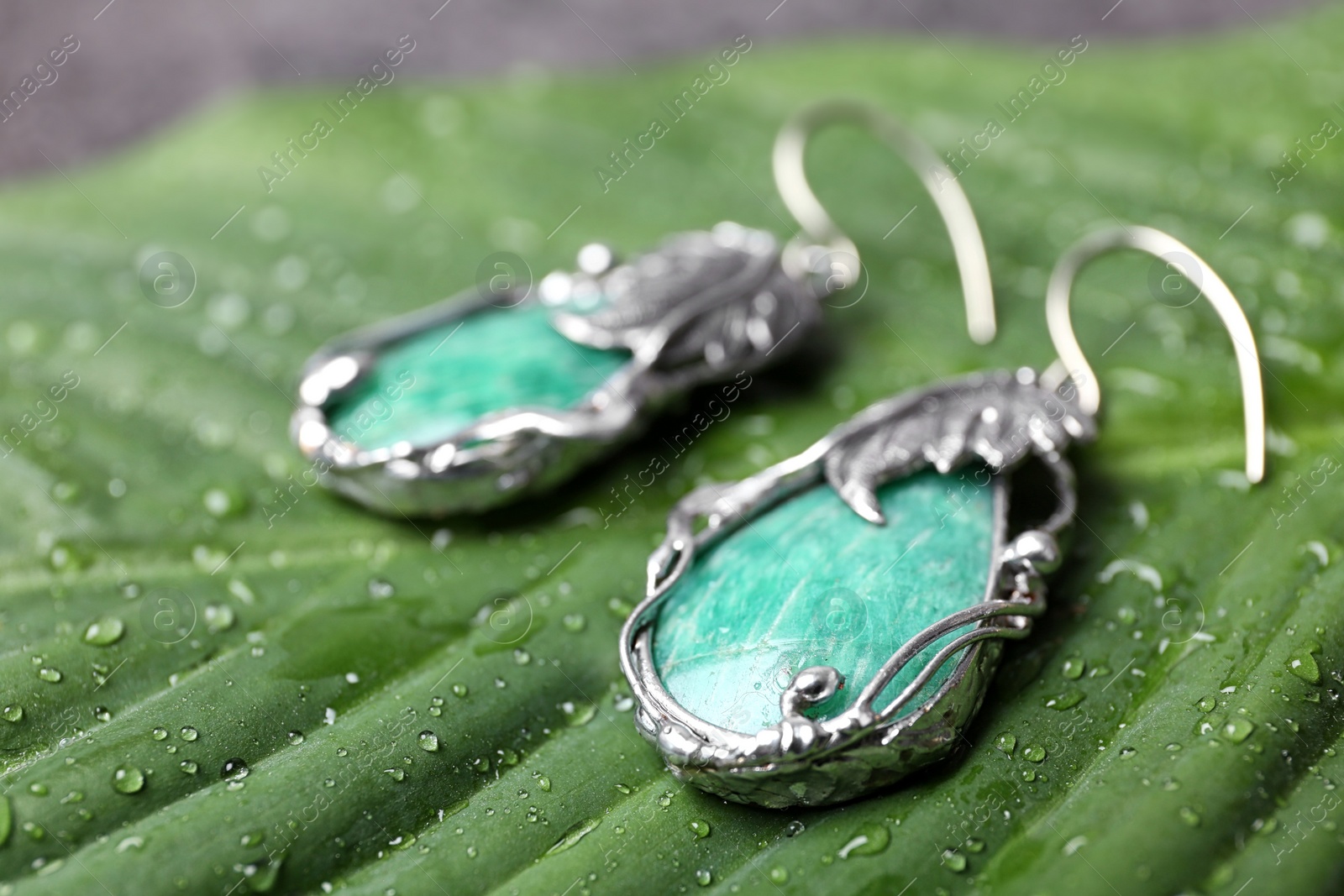 Photo of Beautiful pair of silver earrings with amazonite gemstones on green leaf, closeup