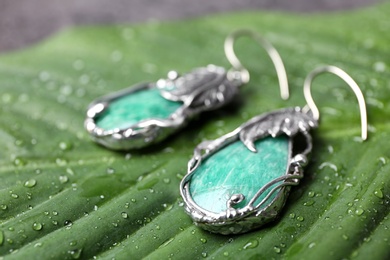 Photo of Beautiful pair of silver earrings with amazonite gemstones on green leaf, closeup