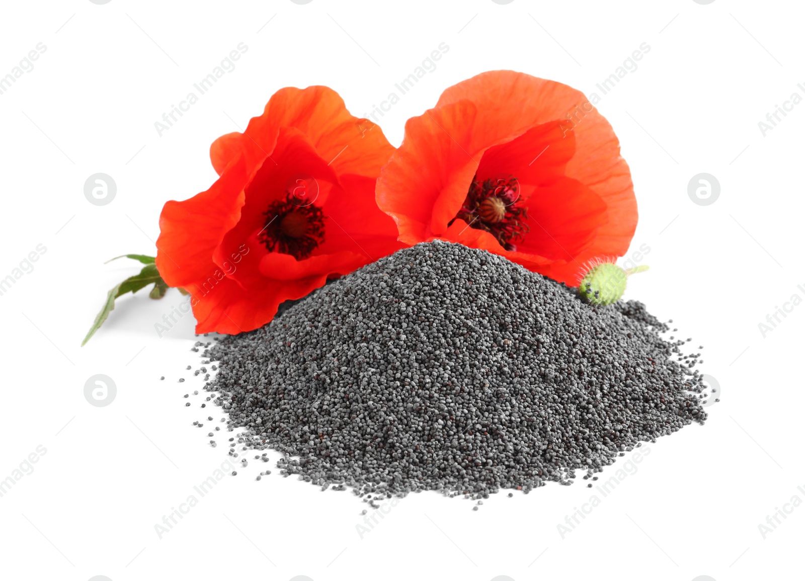 Photo of Pile of poppy seeds and flowers isolated on white