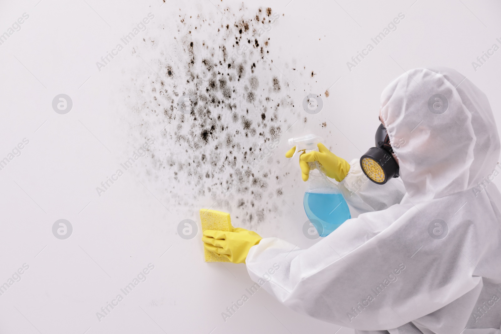 Image of Woman in protective suit and rubber gloves using mold remover and rag on wall