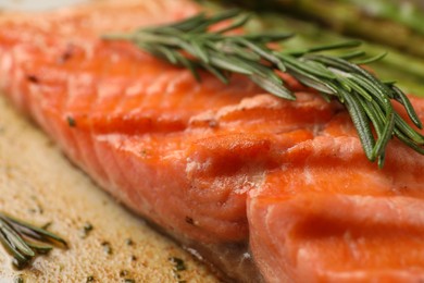 Tasty grilled salmon with rosemary on plate, closeup