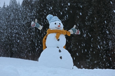 Adorable smiling snowman outdoors on winter day