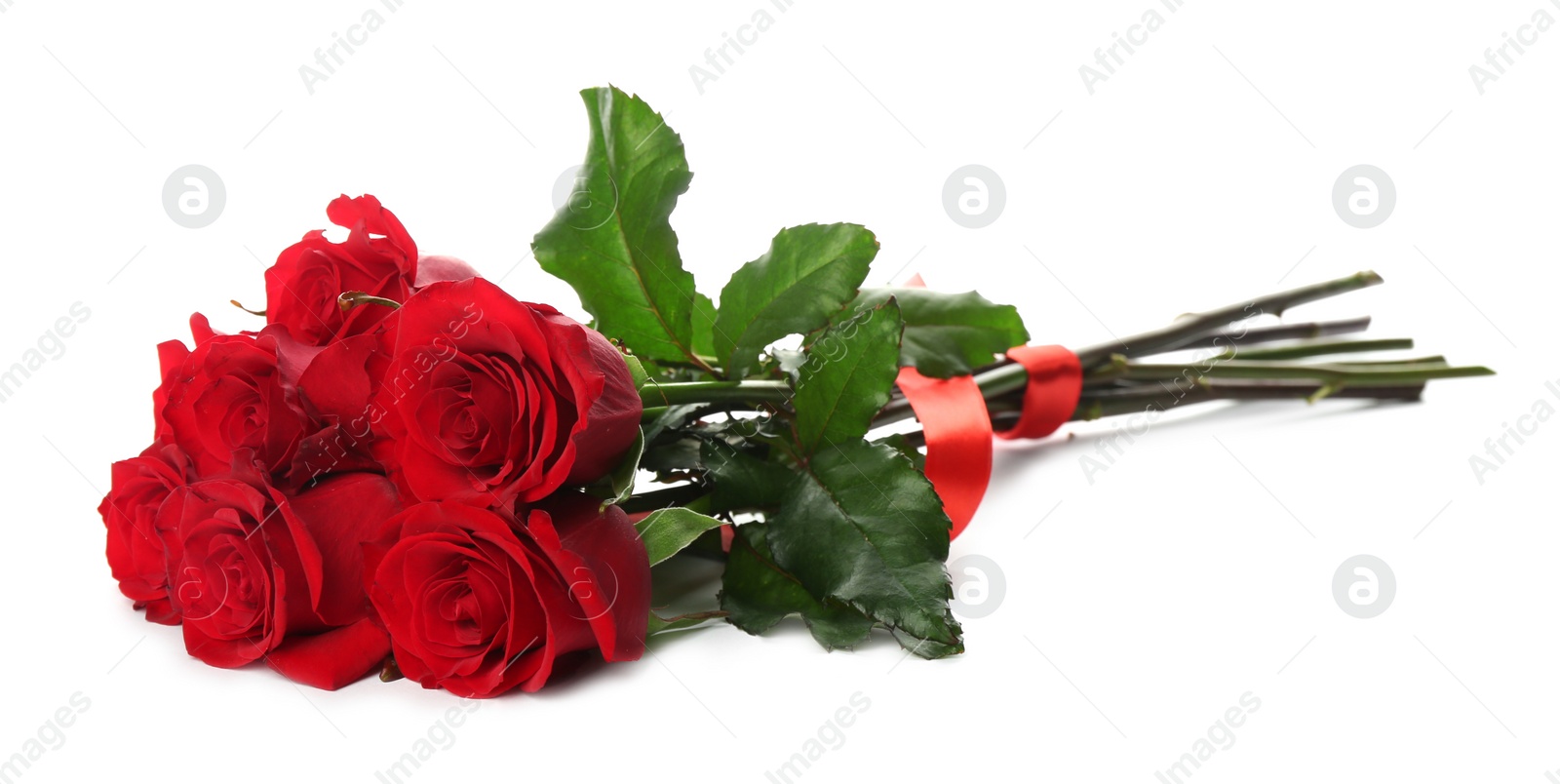 Photo of Beautiful red roses on white background. St. Valentine's day celebration