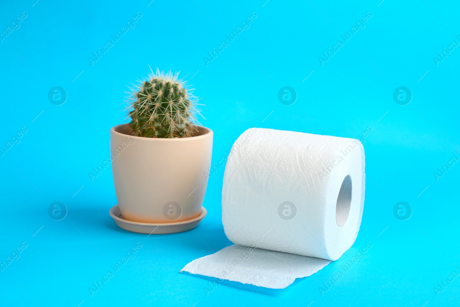 Photo of Roll of toilet paper and cactus on light blue background. Hemorrhoid problems