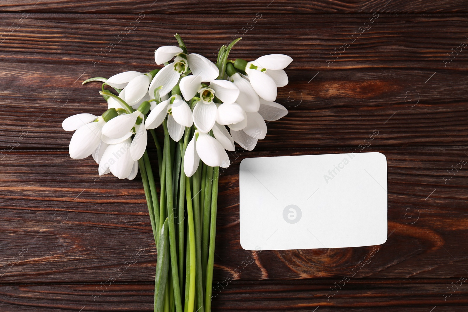 Photo of Beautiful snowdrops and paper card on wooden table, flat lay. Space for text