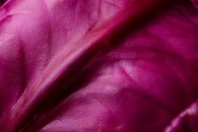 Photo of Fresh ripe red cabbage as background, closeup