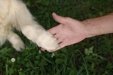 Man holding dog's paw in park, top view
