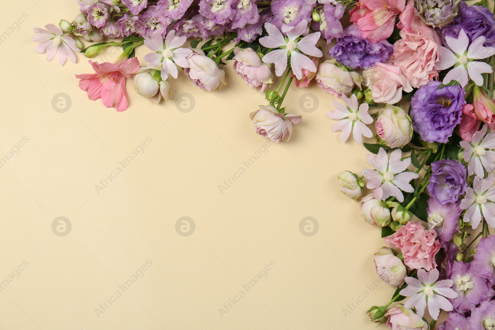 Photo of Flat lay composition with different beautiful flowers on beige background, space for text