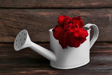 Photo of Beautiful red flower in watering can on wooden table