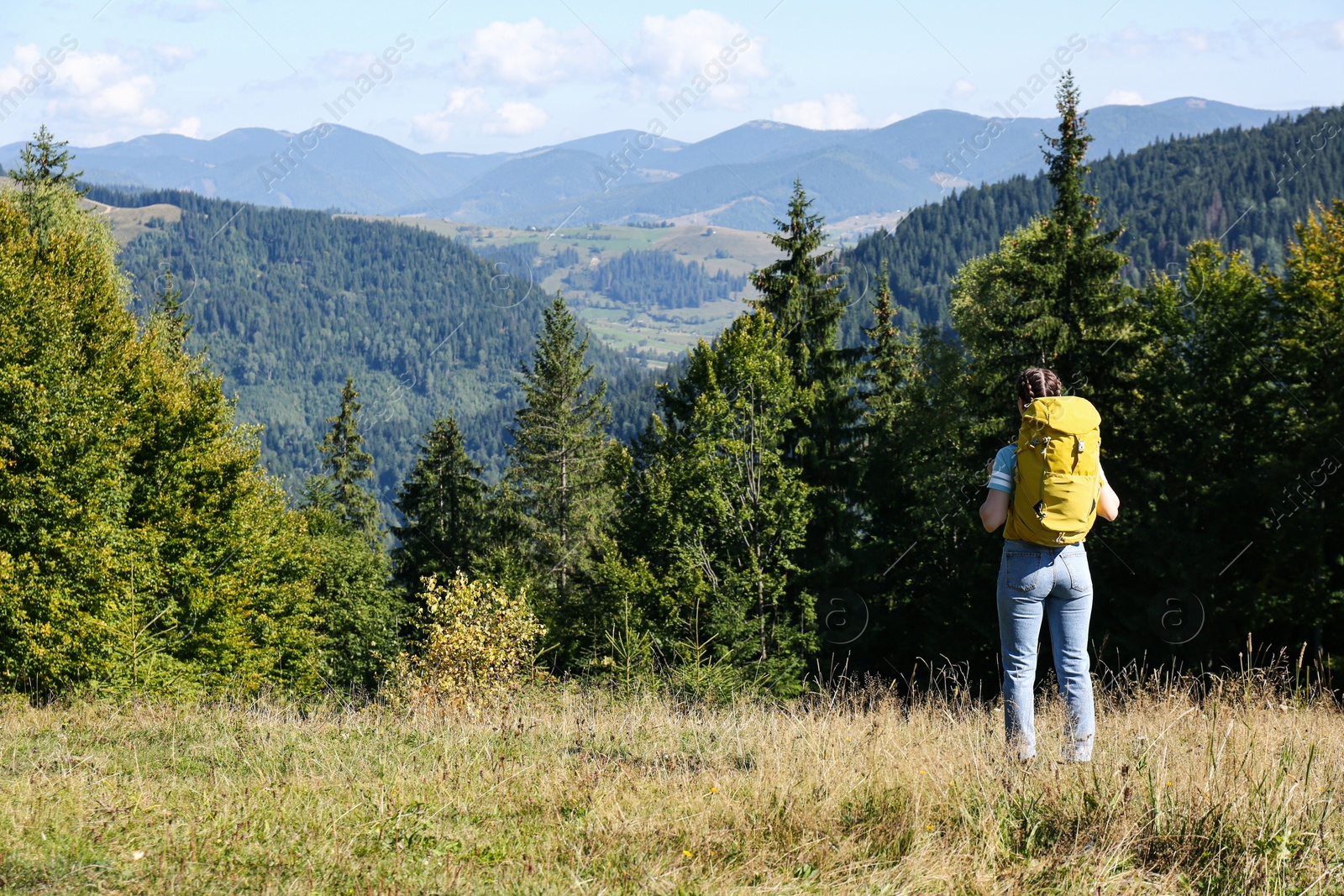 Photo of Tourist with backpack enjoying mountain landscape on sunny day, back view